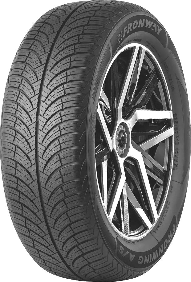 Fronway Fronwing A/S 205/55 R16 91H